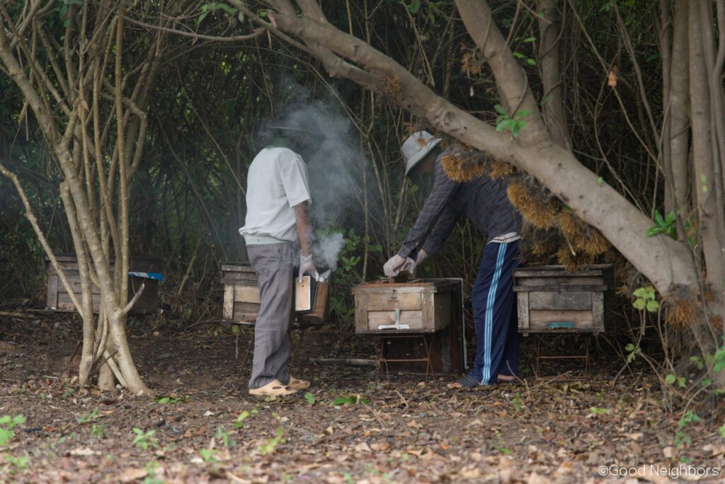 សហគមន៍កម្ពុជាកសាងមូលដ្ឋានគ្រឹះនៃទំនុកចិត្ត និងការពឹងផ្អែកលើខ្លួនឯង 11 3.1 BeeKeeping scaled 1