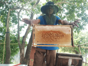 Cambodian Community Create the Foundation of Self-confidence and Self-reliance 13 3.3. BeeKeeping 300x225 1