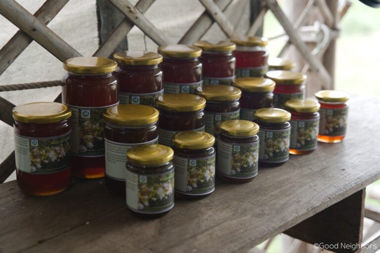 3.4. BeeKeeping 768x513 1