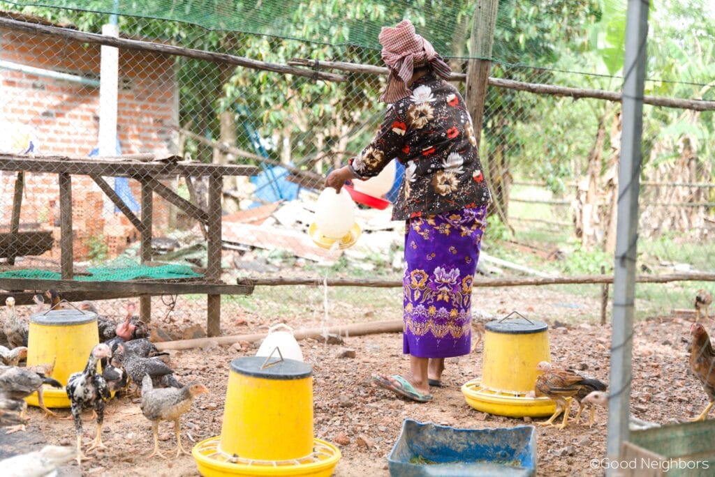 4.4. Checken Farming scaled 1