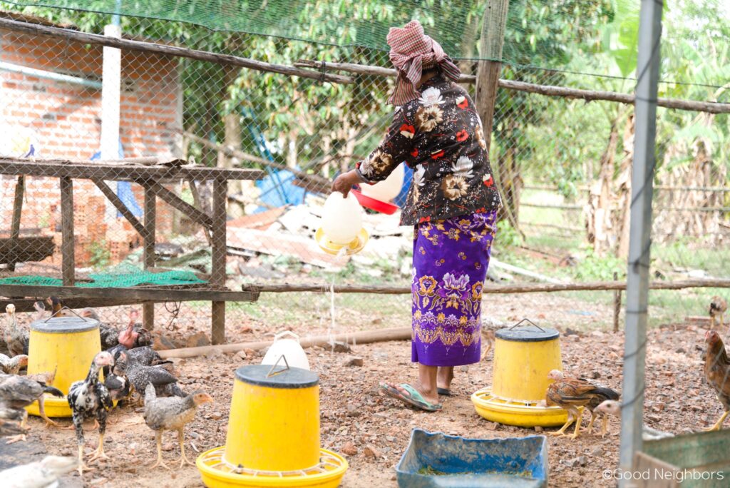 សហគមន៍កម្ពុជាកសាងមូលដ្ឋានគ្រឹះនៃទំនុកចិត្ត និងការពឹងផ្អែកលើខ្លួនឯង 18 4.4. Checken Farming scaled 1